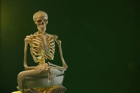 Artificial human skeleton model sitting and chair on green background, spac.. Stock Photos
