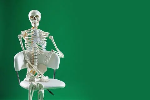 Artificial human skeleton model sitting on chair against green background, .. Stock Photos