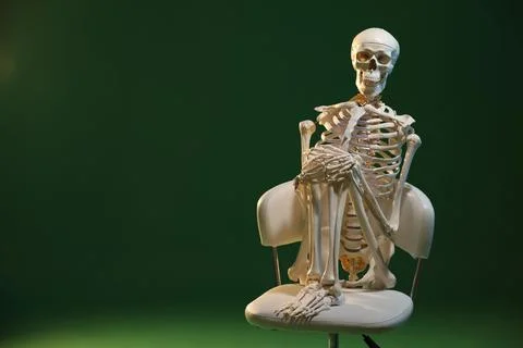 Artificial human skeleton model sitting on chair against green background, .. Stock Photos