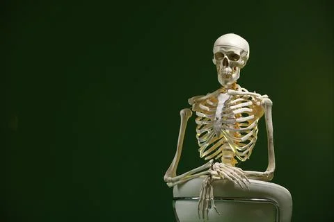 Artificial human skeleton model sitting and chair on green background, spac.. Stock Photos