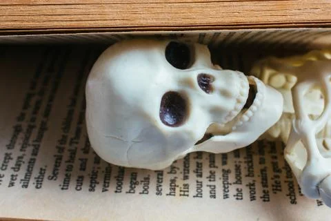 Artificial human skull in between a book pages Stock Photos