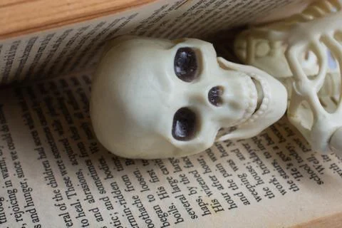Artificial human skull in between a book pages Stock Photos