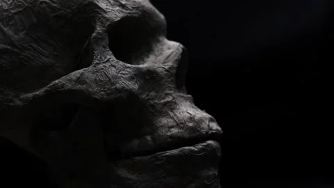 Artificial human skull on a dark background opens and closes the jaw Stock-Footage 347021389