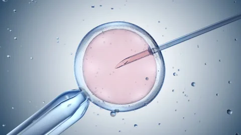 Artificial insemination Stock Footage 225926420