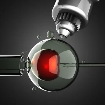 Artificial insemination on gray background Illustrazione stock