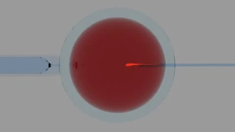 Artificial insemination of a human egg. Stock-Illustration