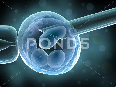 Artificial insemination Stock Illustration