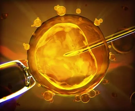 Artificial insemination Illustrazione stock