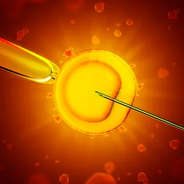 Artificial insemination Stock Illustration