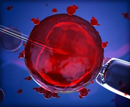 Artificial insemination Illustrazione stock