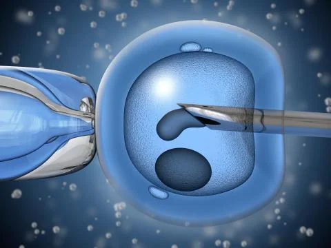 Artificial insemination Stock Illustration
