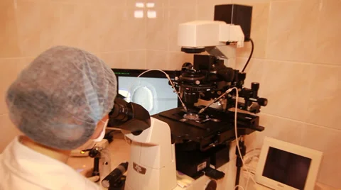 Artificial insemination - implementation of sperm into the egg Stock-Footage 33790231