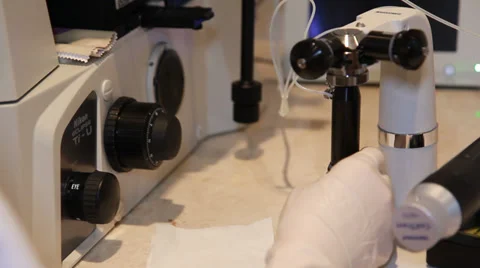 Artificial insemination - implementation of sperm into the egg Stock-Footage 33790240