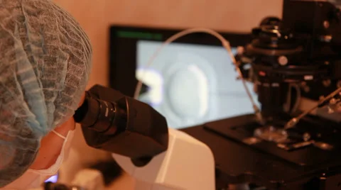 Artificial insemination - implementation of sperm into the egg Video stock 33790319