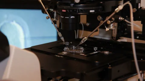Artificial insemination - implementation of sperm into the egg Stock-Footage 33790328