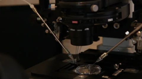 Artificial insemination - implementation of sperm into the egg Stock-Footage 33790377