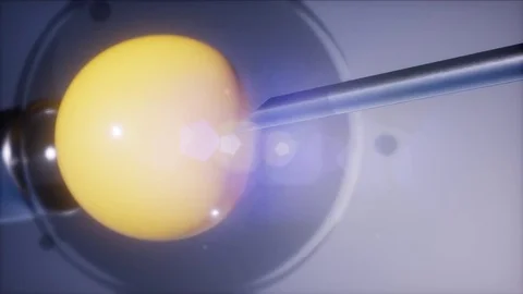 Artificial Insemination Stock Videos – Royalty-Free HD & 4K Videos | Pond5