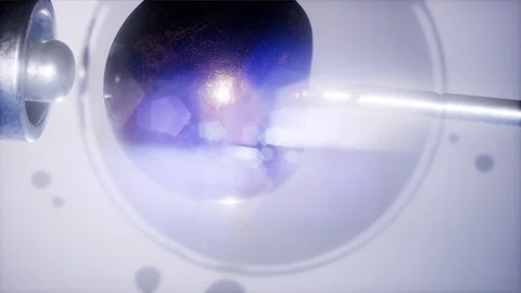 Artificial insemination microscopy engineering Stock Footage 84880235