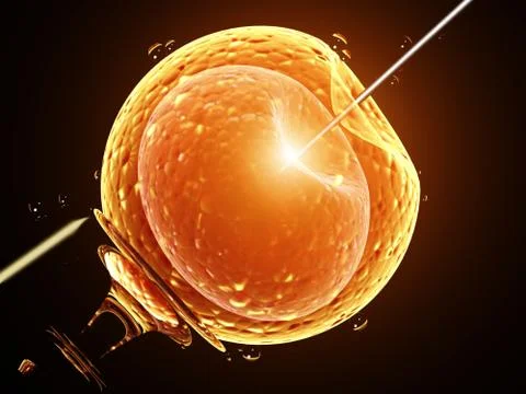 Artificial insemination. Needle puncture the cell membrane Stock Illustration
