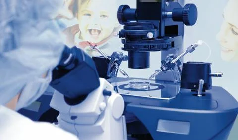 Artificial insemination Stock Photos