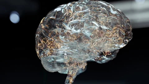 Artificial Intelligence AI brain with digital neural network technology 4K Vidéo 324899892