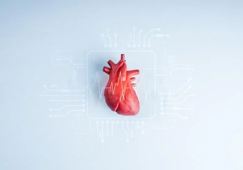 Artificial intelligence analyzing red human heart with digital interface an.. Stockfoto's