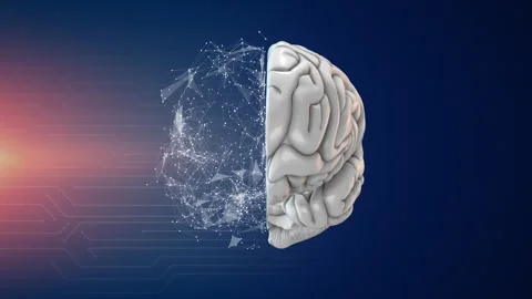 Artificial intelligence and human brain Video stock 242953635
