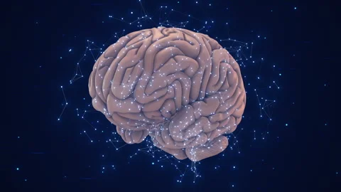 Artificial intelligence and human brain Stock Footage 242955027