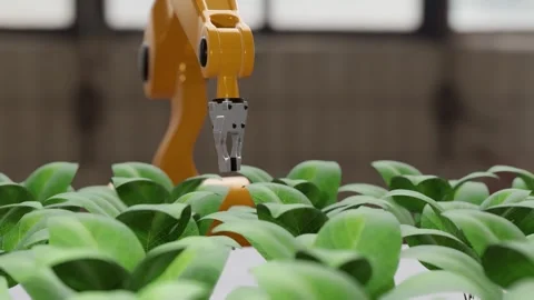 Artificial intelligence and technology to help increase productivity in agricult Stockbeeldmateriaal 253255380