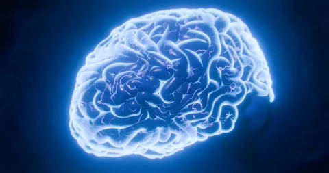 Artificial intelligence brain animation with effects of neural connections .. Stock Footage 260899667