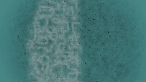 Artificial Intelligence Brain Animation. Stock Footage 239529654