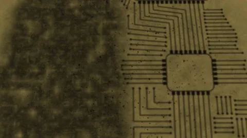 Artificial Intelligence Brain Animation. Stock Footage 239529682