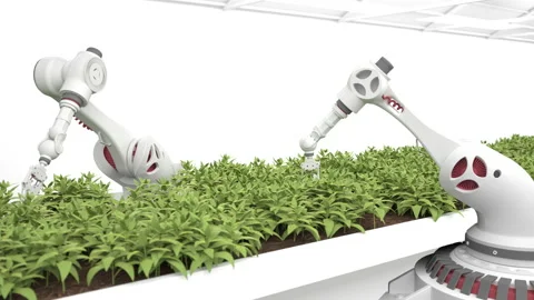 Artificial intelligence grows fresh herbs and vegetables. Healthy eating. Video stock 170997450