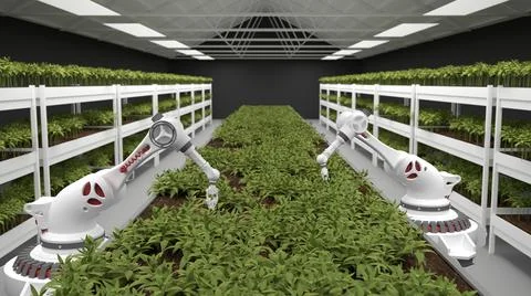 Artificial intelligence grows fresh herbs and vegetables. Healthy eating Stock Illustration