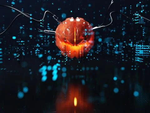 Artificial Intelligence. image of the brain with different dachiks connected  Stock Photos