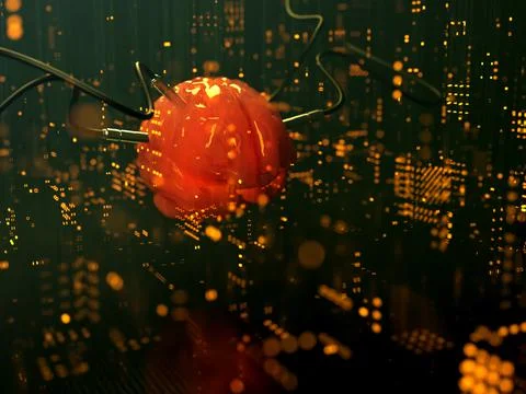 Artificial Intelligence. image of the brain with different dachiks connected  写真素材