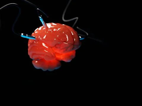 Artificial Intelligence. image of the brain with different dachiks connected  Stock Photos