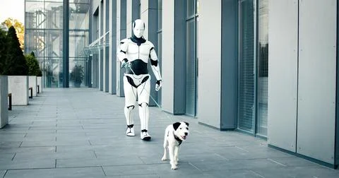 Artificial intelligence machine walk dog in yard of building. Robot is engaged Fotos de archivo