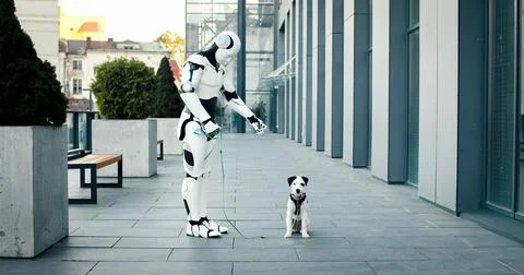 Artificial intelligence machine walks dog in yard of building. Robot spend time Stock Photos
