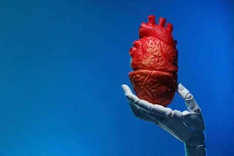 Artificial intelligence. Robot hand holding model of human heart on blue ba.. Stock Photos