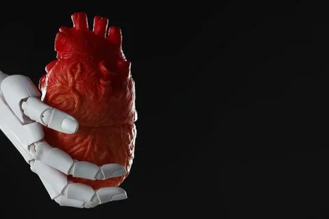 Artificial intelligence. Robot hand holding model of human heart on black b.. Stock Photos