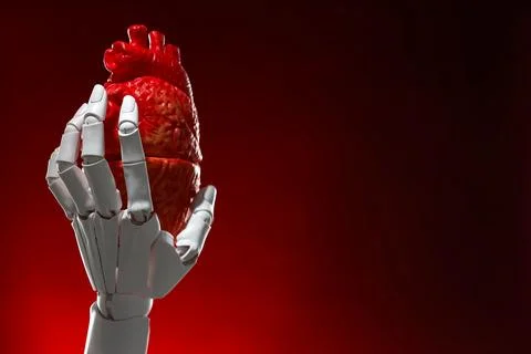 Artificial intelligence. Robot hand holding model of human heart on dark re.. Stock Photos