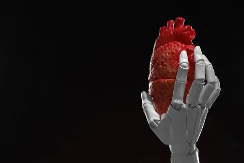 Artificial intelligence. Robot hand holding model of human heart on black b.. Stock Photos