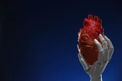 Artificial intelligence. Robot hand holding model of human heart on dark bl.. Stock Photos
