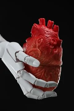 Artificial intelligence. Robot hand holding model of human heart on black b.. Stock Photos