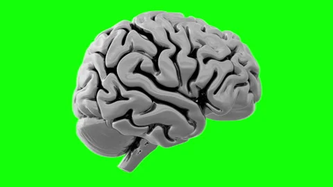 Artificial Intelligence Robotic Cyborg Metal AI Brain Isolated Green Screen Loop Stock Footage 255053802