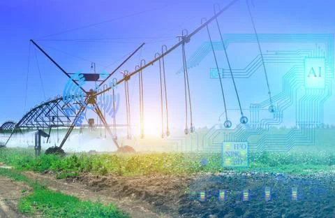 The artificial irrigation system of the future determines the degree of irrig Stock Photos