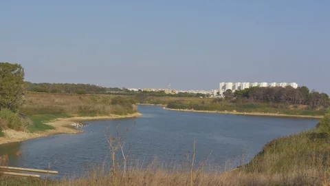 Artificial lake Stock Footage 99664576