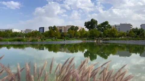 Artificial lake in the middle of a public park 스톡 동영상 225728396