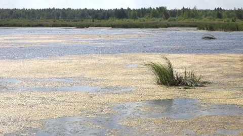 Artificial Lake Overview Stock Footage 102520458